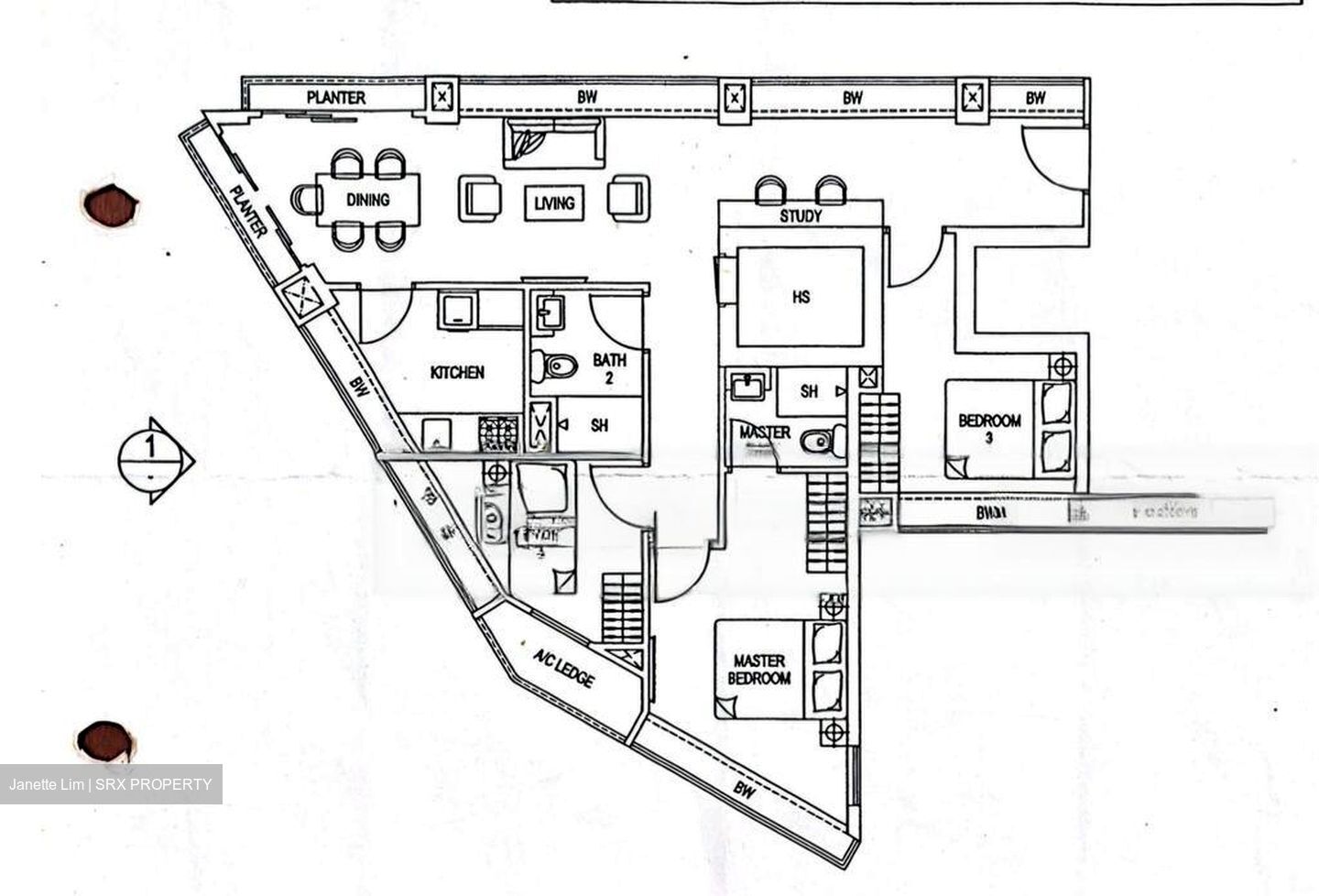 Icon @ Pasir Panjang (D5), Apartment #454250771